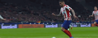 1581208540122422.gif 2.gif