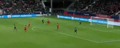 1581556317371013.gif 8.gif