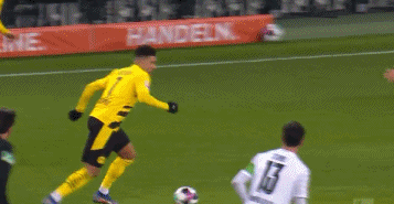1611376726335909.gif 3.gif