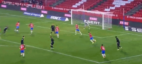 1612412907946132.gif 9.gif