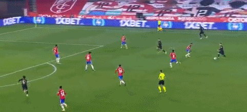 1612412941379385.gif 4.gif