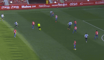 1614557460380682.gif 2.gif