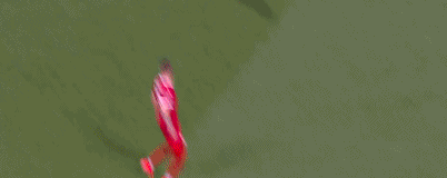 1616885966529890.gif 6.gif