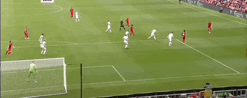 1629558984647523.gif 2.gif