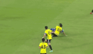 1650042492188301.gif 5.gif