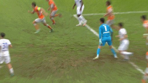 1655462528919289.gif 3.gif