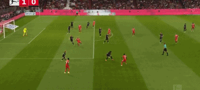 1665951382858446.gif 2.gif