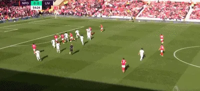 1666448627498555.gif 2.gif